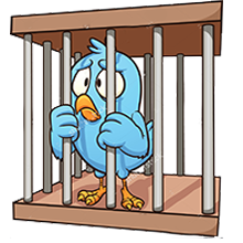 Ptica u kavezu